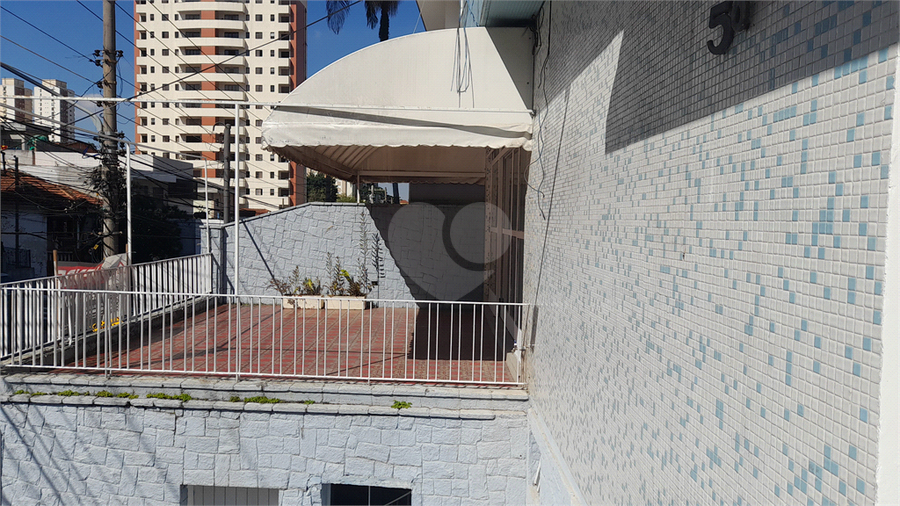 Foto REO1053048