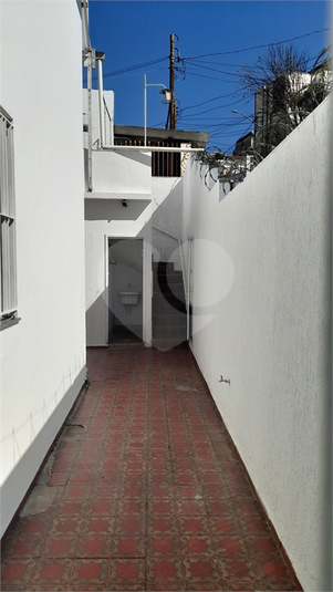 Foto REO1053048