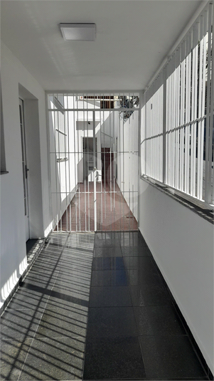 Foto REO1053048