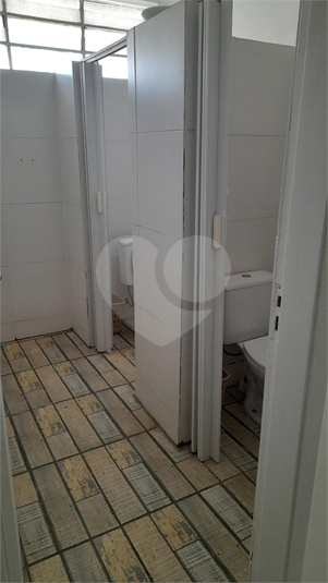 Foto REO1053048