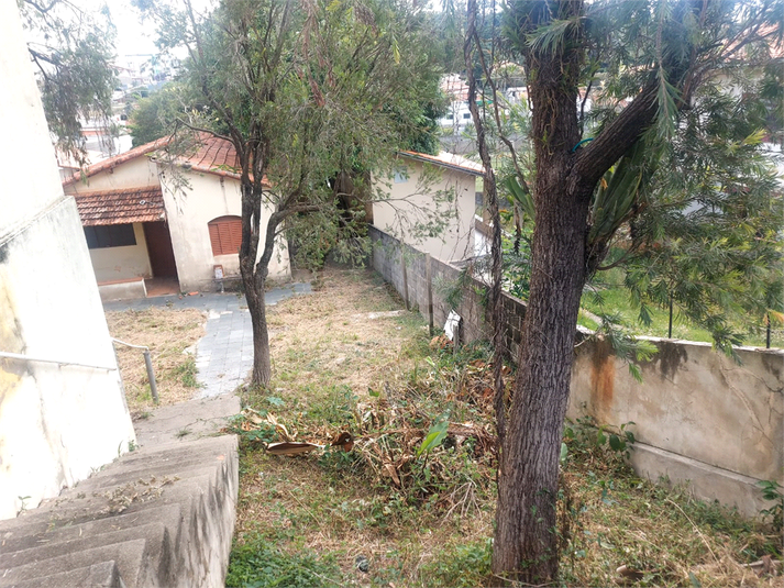 Foto REO1053129