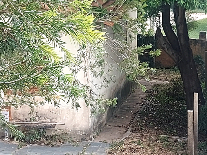 Foto REO1053129