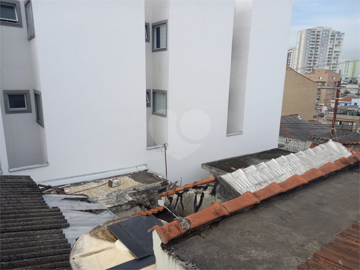 Foto REO1053152
