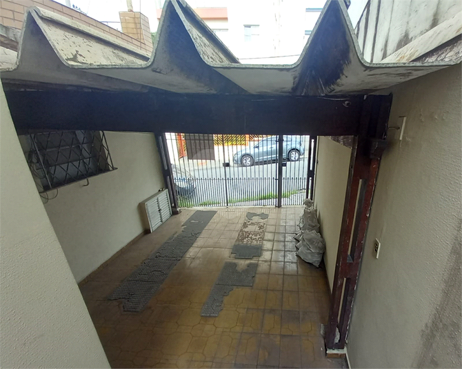 Foto REO1053152