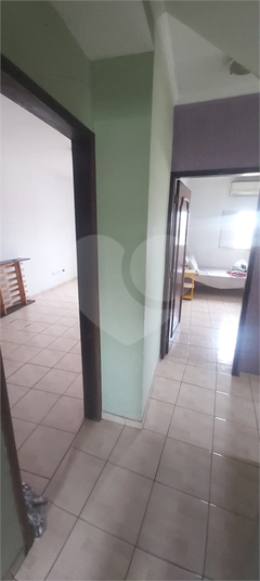 Foto REO1053158