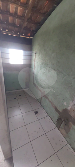 Foto REO1053158