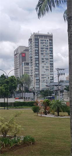 Foto REO1053175