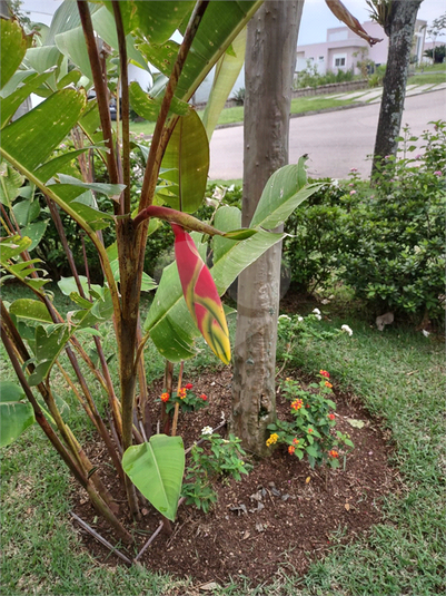 Venda Condomínio Itupeva Parque Dos Resedás REO1053232 17