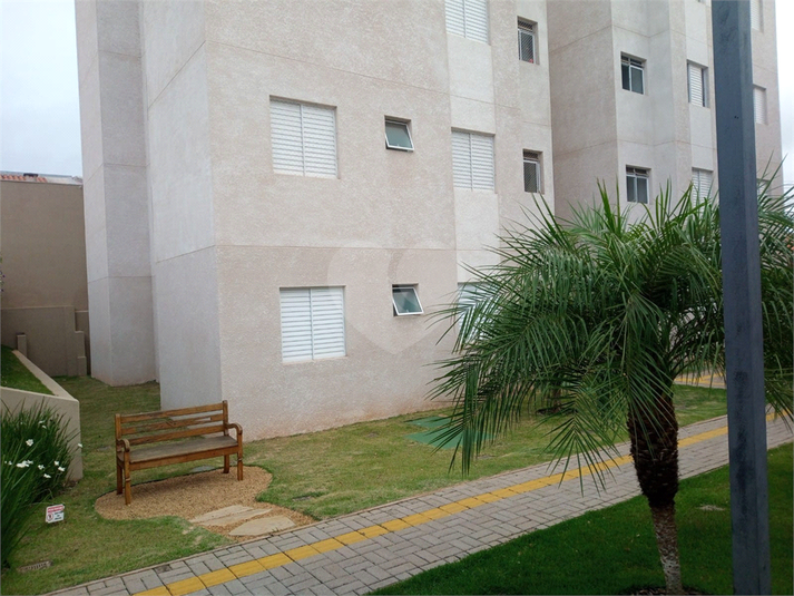 Foto REO1053325