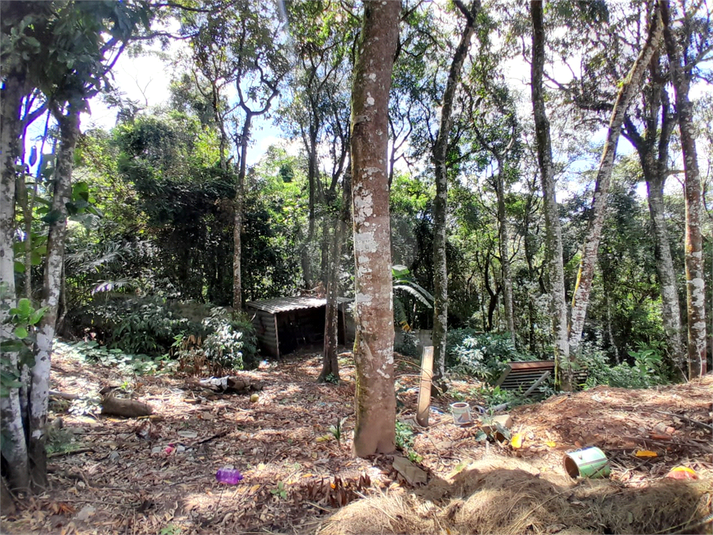 Venda Condomínio Mairiporã Caraguatá REO1053400 1