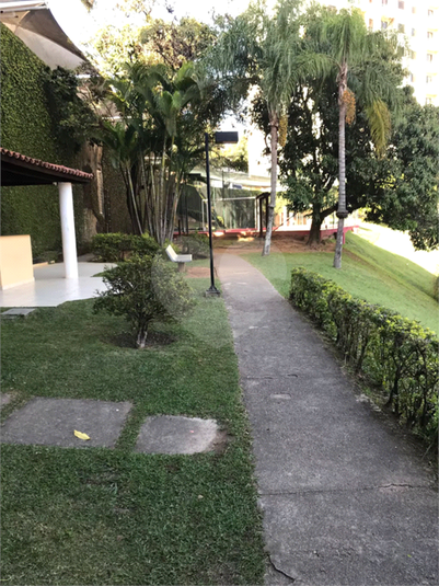 Foto REO1053444