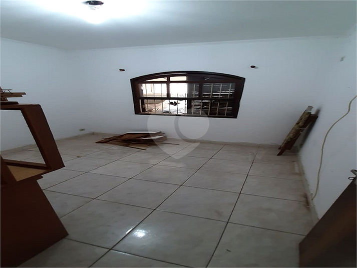 Foto REO1053457