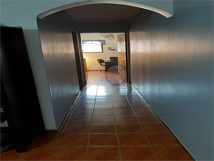 Foto REO1053457