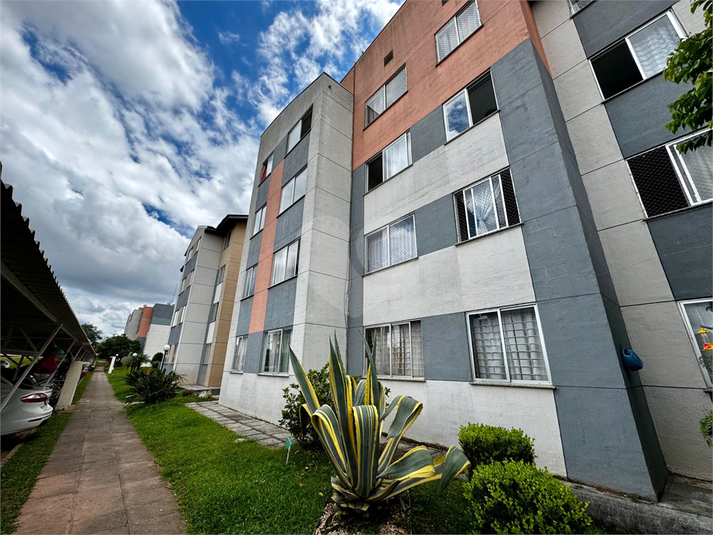 Venda Apartamento São José Dos Pinhais Santo Antônio REO1053503 2