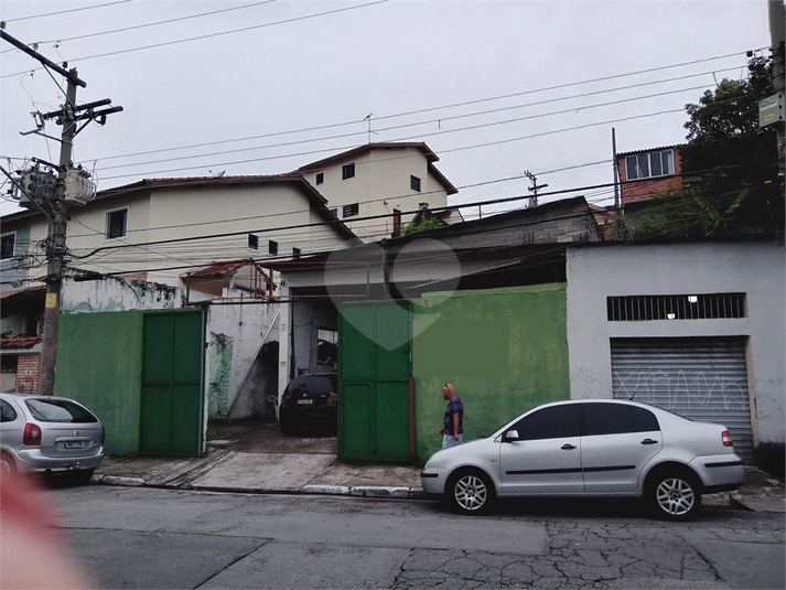 Foto REO1053506
