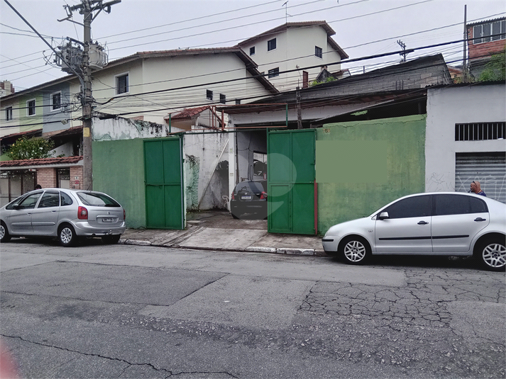 Foto REO1053506
