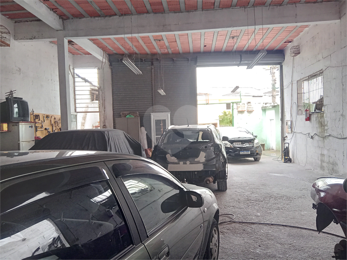Foto REO1053506