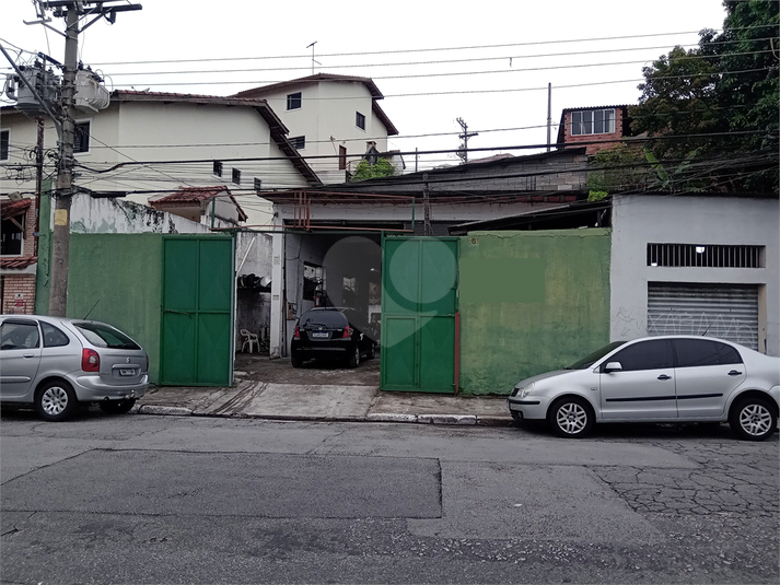 Foto REO1053506