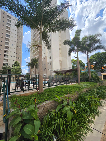 Aluguel Apartamento Indaiatuba Cidade Nova Ii REO1053542 9