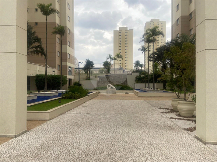 Foto REO1053588