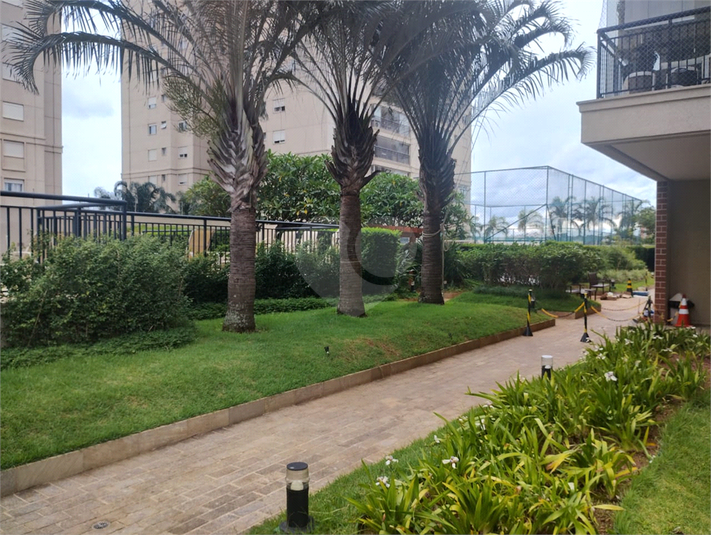 Foto REO1053597