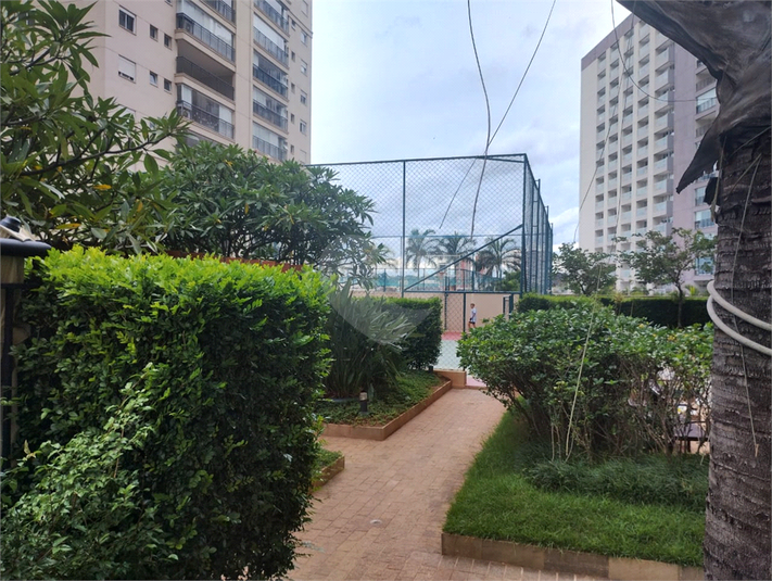 Foto REO1053597