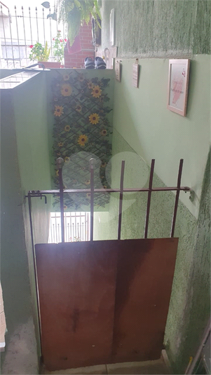 Foto REO1053609