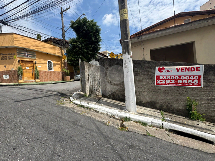 Foto REO1053651