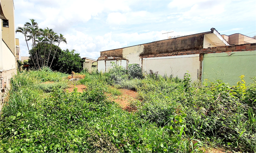 Venda Terreno Ribeirão Preto Jardim Irajá REO1053653 3