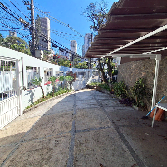 Foto REO1053680