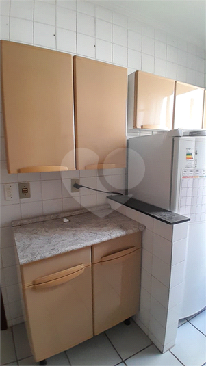 Aluguel Apartamento Jundiaí Jardim Pitangueiras I REO1053720 14