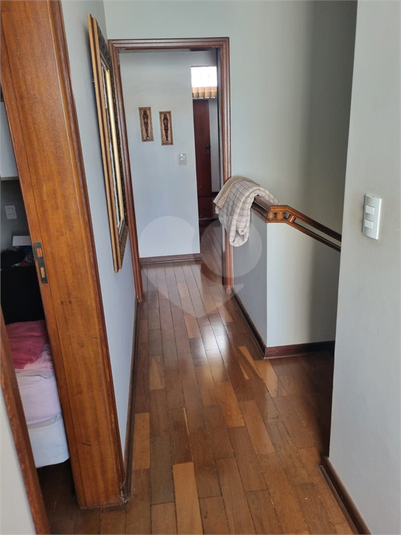Foto REO1053738