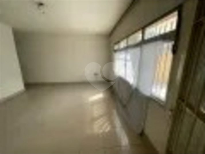 Foto REO1053832