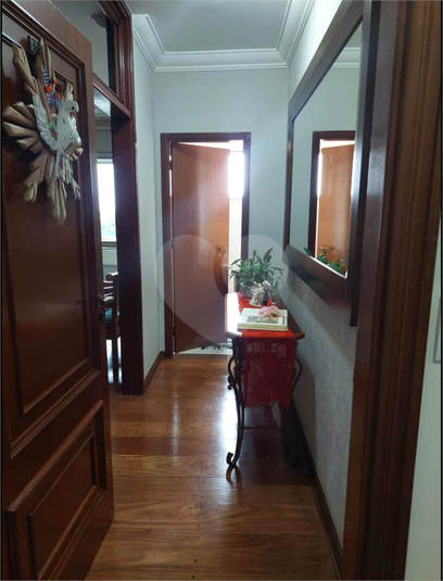 Foto REO1053849