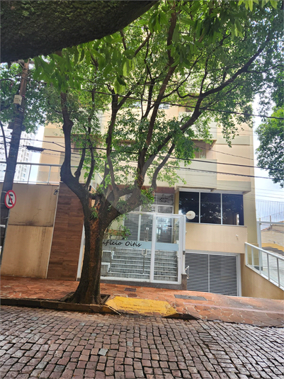 Foto REO1053849