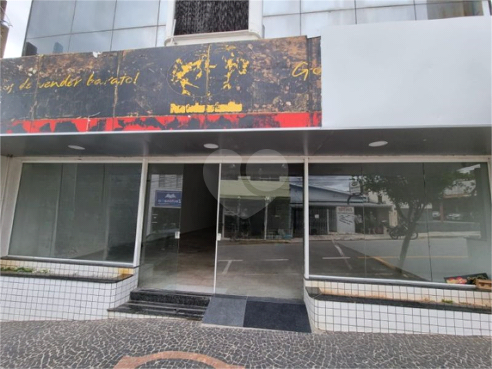 Foto REO1053992