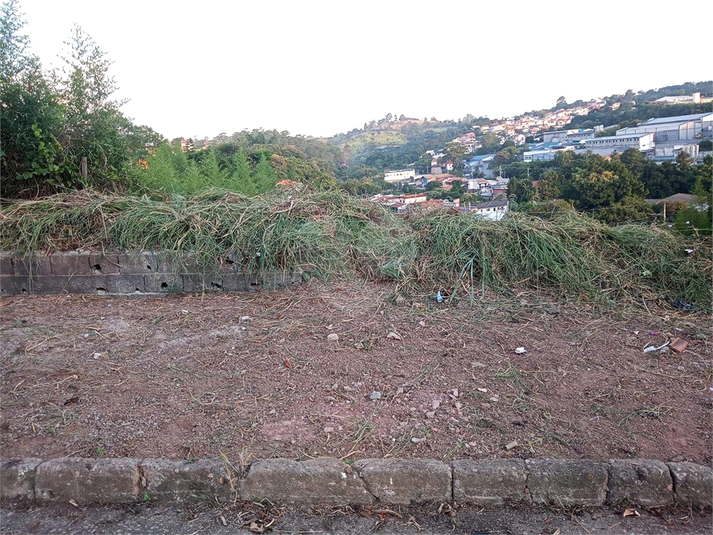 Foto REO1053997
