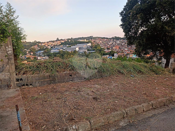 Foto REO1053997