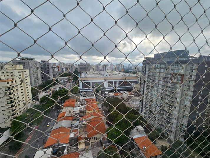 Foto REO1054139