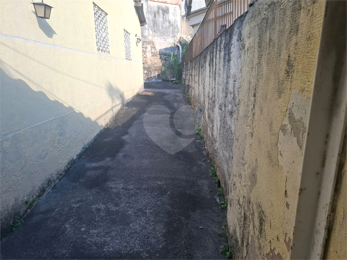 Foto REO1054181