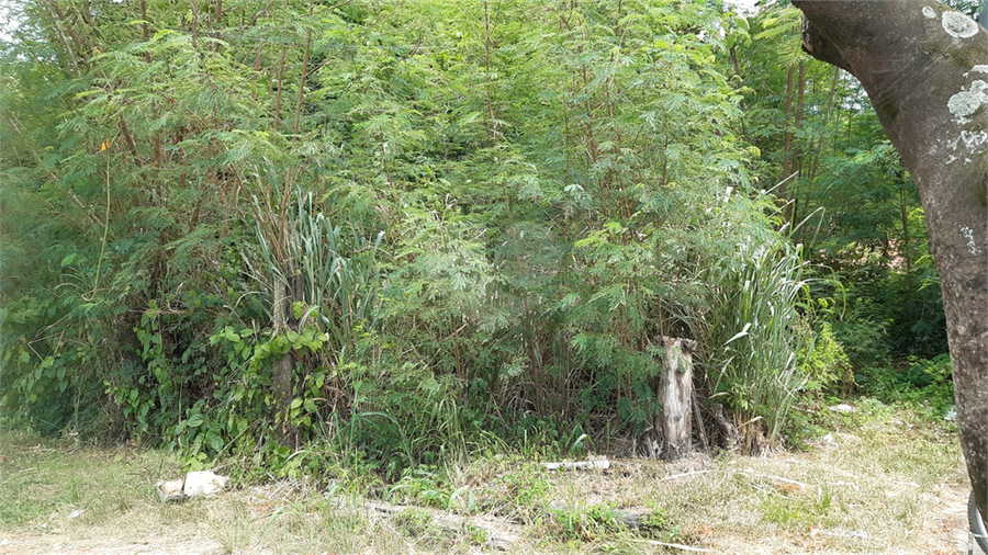 Venda Terreno Niterói Serra Grande REO1054235 28