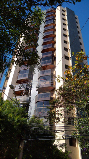 Foto REO1054241