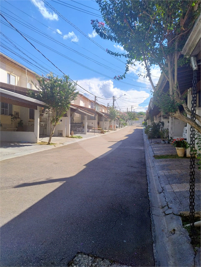 Foto REO1054242