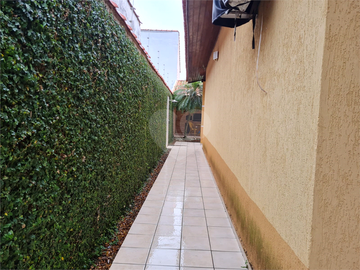 Foto REO1054264
