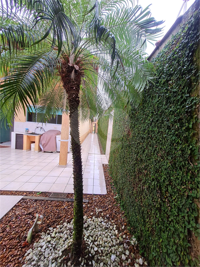 Foto REO1054264