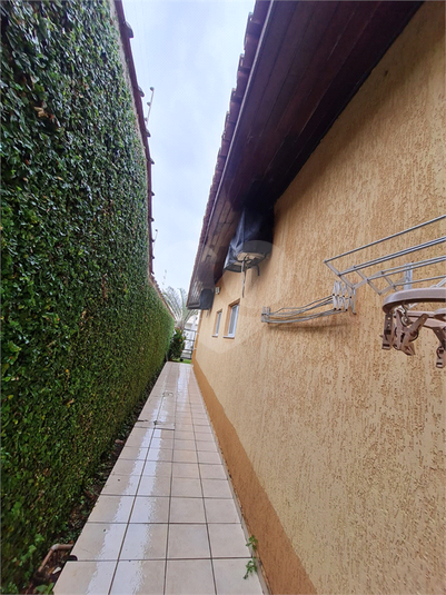Foto REO1054264