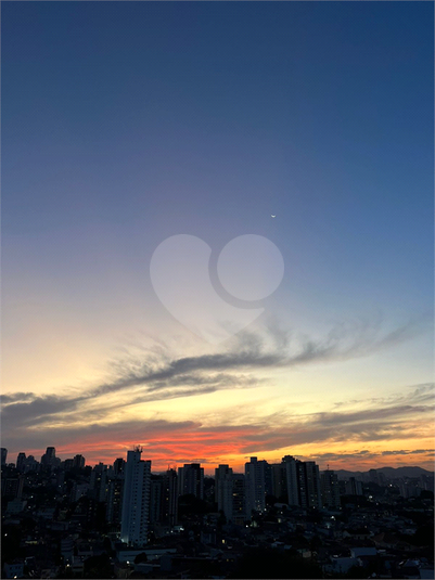 Foto REO1054278