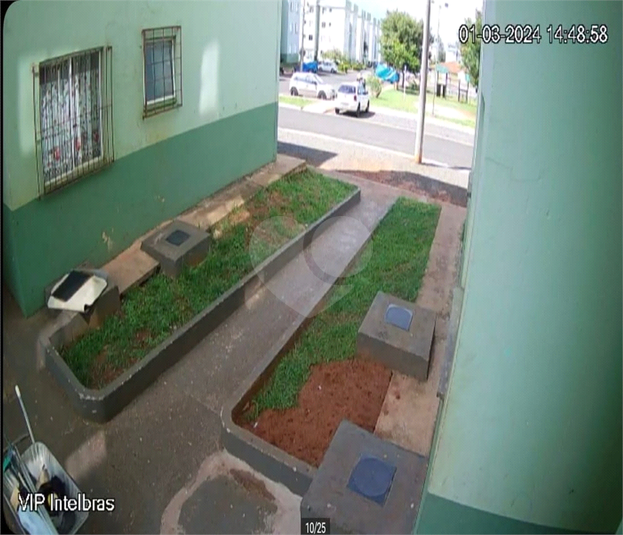 Foto REO1054325