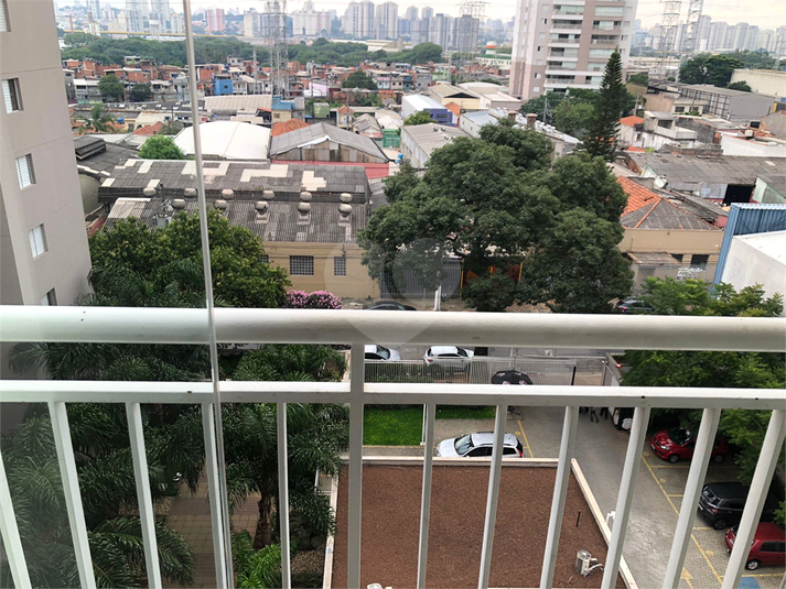 Foto REO1054326