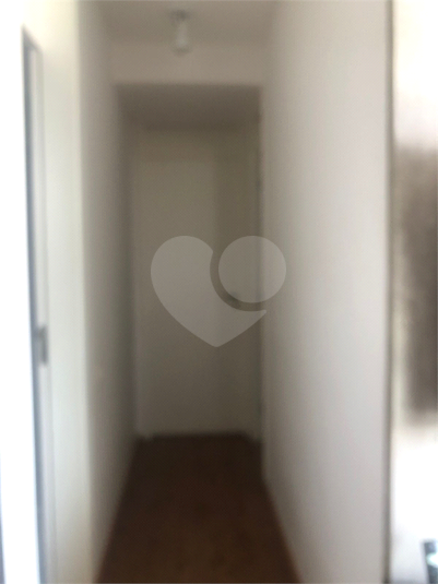 Foto REO1054326